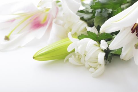 白い百合の花